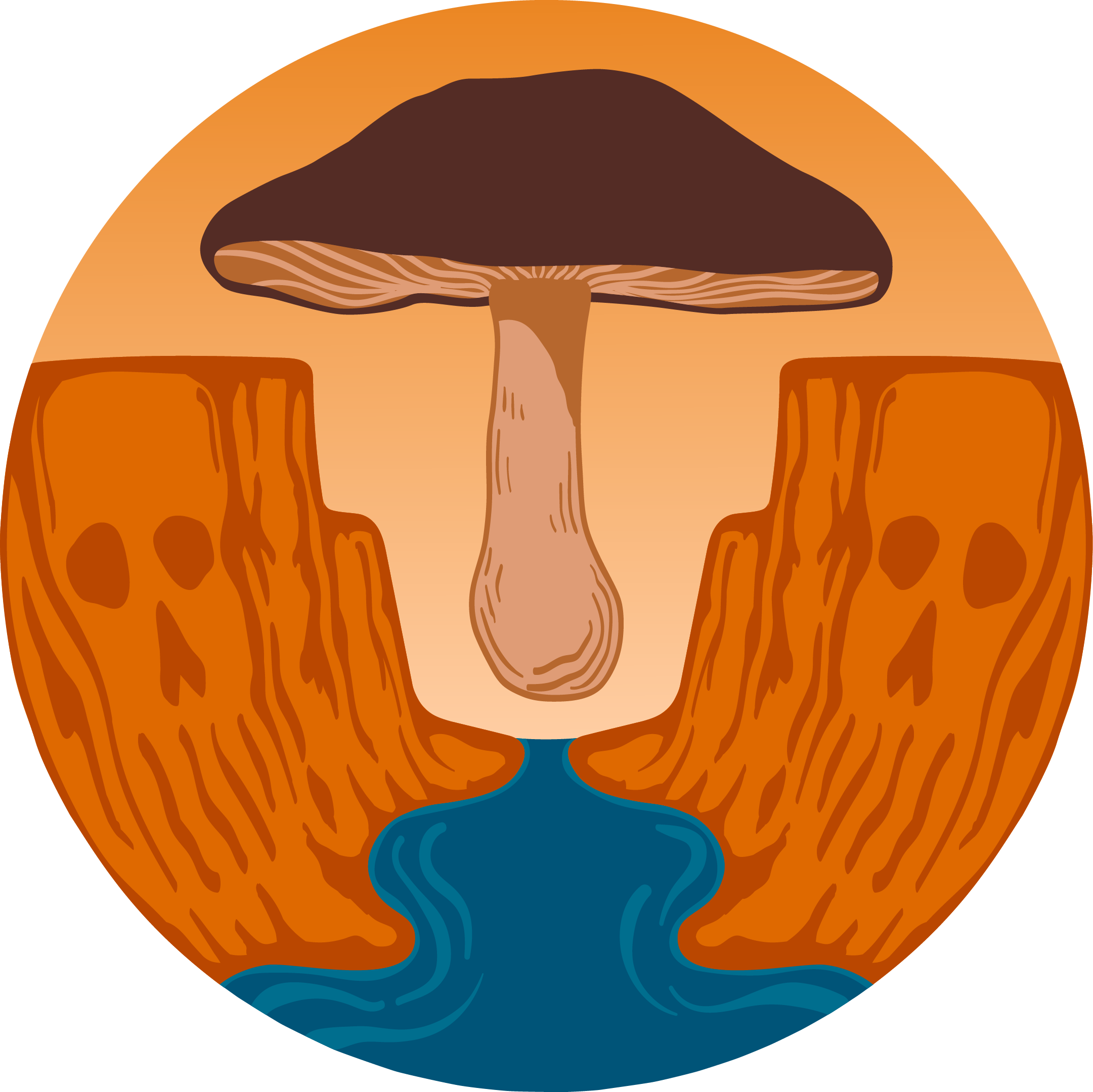 cooking-mushrooms-hells-canyon-mycology